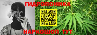 apvp Гагарин