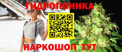 apvp Гагарин