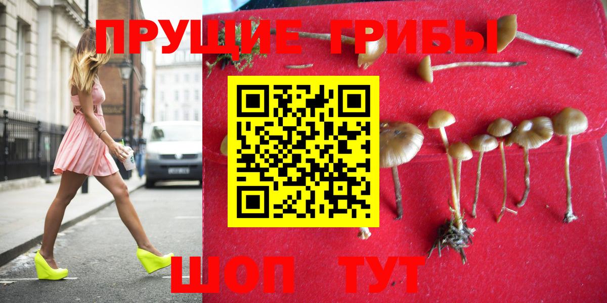 Галлюциногенные грибы прущие грибы  Вход с VPN  Набережные Челны 